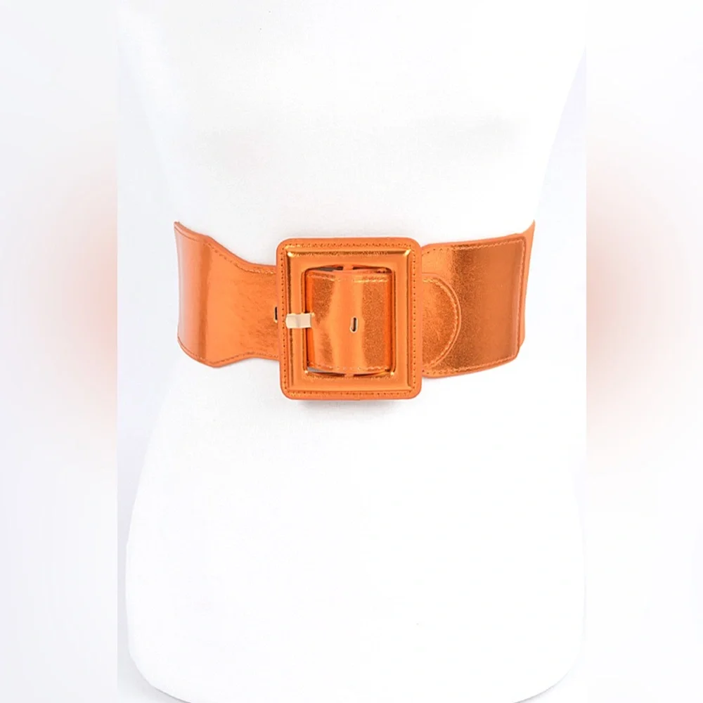 Satin Metallic Elastic Waist Statement Belt